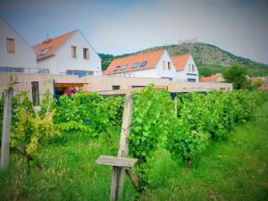 Fotografie z fotogalerie ubytování Rezidence Pálava v destinaci Pavlov