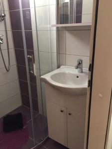 Kúpeľňa v ubytovaní Apartmani Atila Damir