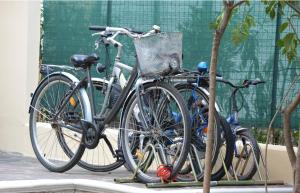 two bikes parked next to each other next to a tree at Villa Anita - appartamento green in Pescara