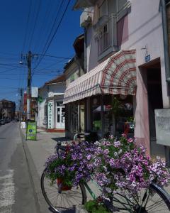 Foto da galeria de MIMOZA 1 em Jagodina