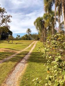 un chemin de terre dans un champ planté de palmiers dans l'établissement Pousada Sitio da Terra e Arte, à São Roque
