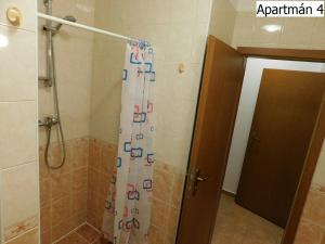 Kúpeľňa v ubytovaní Apartmány Horní Planá