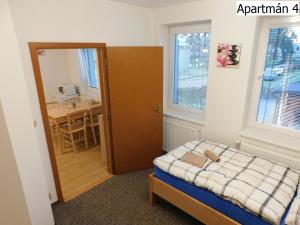 1 dormitorio con cama, mesa y escritorio en Apartmány Horní Planá en Horní Planá