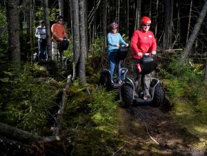 Gallery image of Top of the World in Snowshoe