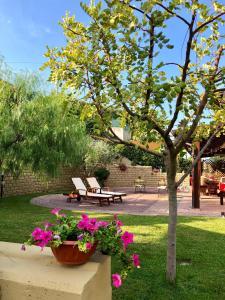 a park with a tree and benches and flowers at Peperosa in collina B&B in Pescara