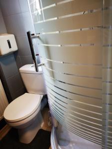 La salle de bains est pourvue de toilettes et d'un rideau de douche. dans l'établissement DanHostel, à Varsovie