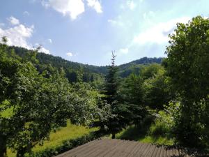 Aussicht vom Dach eines Hauses mit Bäumen in der Unterkunft Ferienhaus "Schleif" in Heiligkreuzsteinach
