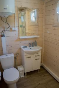 een badkamer met een toilet, een wastafel en een spiegel bij Te Domki in Łukęcin