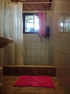 a bathroom with a shower with a pink rug and a window at Fidelito Ranch & Lodge in Tambor