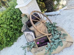 A garden outside Los Bronces