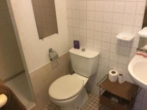 a white bathroom with a toilet and a sink at Résidence les cactus in Noumea