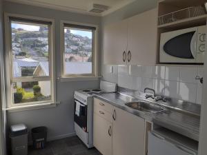 a kitchen with a sink and a stove and two windows at AAA Thames Court Motel in Oamaru
