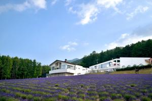 un campo de flores púrpuras frente a un edificio en Highland Furano, en Furano