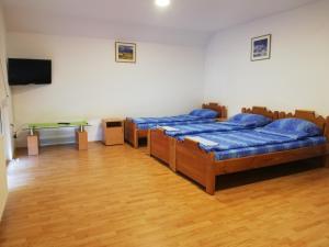 a room with three beds and a table and a television at Farm Stay Cvijovic in Mokra Gora