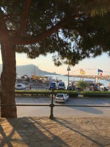 a car driving down a street next to a tree at B&B Margherita in Marina di Camerota