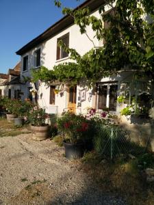 a white house with potted plants in front of it at Chambre d'hôtes le chat botté in Espédaillac