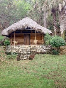 a log cabin with a thatch roof and a porch at cabins sierraverde huasteca potosina "cabaña la ceiba" in Damían Carmona