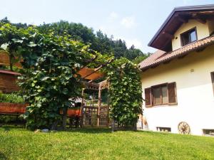 Ein Haus mit einem Haufen Reben drauf. in der Unterkunft La Tavernetta in Torre Pellice