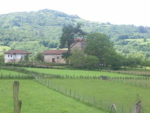 a green field with houses and a fence at Pensión Cangas de Onis in Siero