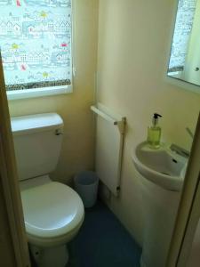 a bathroom with a toilet and a sink and a window at Caravan hire Winthorpe Skegness in Skegness