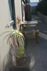 Billede fra billedgalleriet på Nahoon Eco Lodge on Mackenzie i East London + 56 billeder