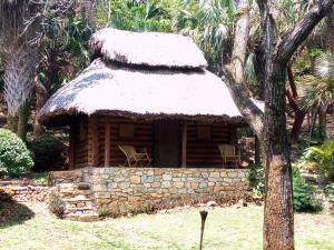 een kleine blokhut met een rieten dak bij Sierraverde cabin Cabaa el Cedro in Damían Carmona +13 foto's