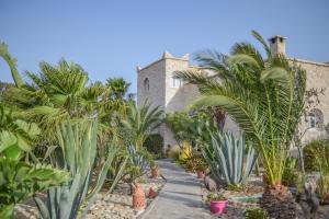 Afbeelding uit fotogalerij van Dar Macha in Ghazoua