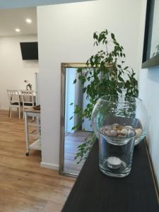un vaso di vetro seduto su un tavolo con una pianta di Lili Apartment in Zadar pet friendly, free parking a Zara (Zadar) Altre 16 foto