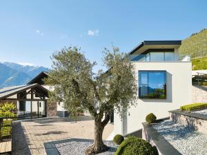 una casa con un árbol delante de ella en Pratenberg Wine Lodge en Merano