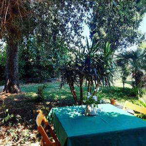 A garden outside B&B L'amaca della felicità