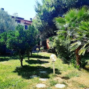 A garden outside B&B L'amaca della felicità