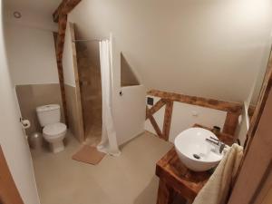 a bathroom with a shower and a sink and a toilet at Mazurska Chata Pod Klonowym Liściem in Szczytno +6 photos