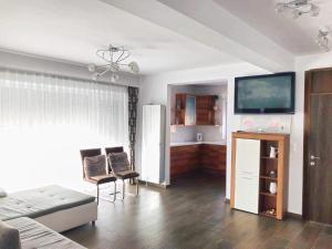 a living room with a couch and a flat screen tv at Villa Residence in Sînmartin