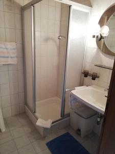 a bathroom with a shower and a toilet and a sink at Frühstückspension Zur Blauen Traube in Yspertal