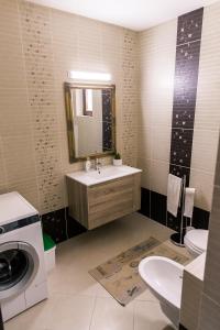 a bathroom with a sink and a washing machine at Vila Rodica Transalpina in Şugag
