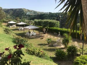 een tuin met tafels en parasols in het gras bij Villa Del Conte in Drapia
