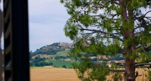 a view from a window of a tree and a field at B&B Armonia in Montecosaro