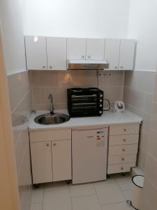 Una pequeña cocina con fregadero y microondas. en Apartments M- Center, en Soko Banja