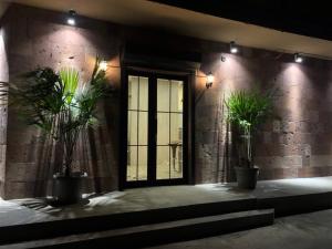 エレバンにあるStreet51の鉢植えの植物が壁に2本並ぶ部屋