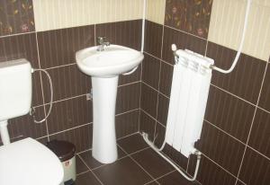 a bathroom with a sink and a toilet at Villa Ribarica in Ribarica +70 photos