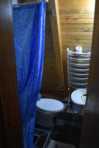 Vikendica Balvaniste في ياهورينا: حمام مع مرحاض وستارة دش زرقاء