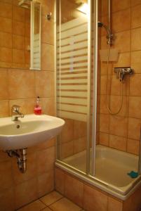 a bathroom with a sink and a shower at Ferienwohnung auf Pferdehof in Dreetz +46 photos