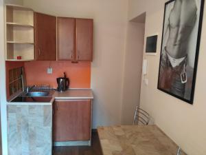 a small kitchen with a sink and a table at Akt Studio Apartment City Centre in Krakow