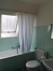 baño con aseo y lavabo y ventana en Ferienwohnung Lydia en Schönwald