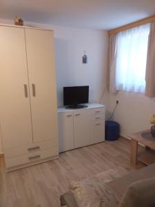 TV a/nebo společenská místnost v ubytování Apartments & room Ivica Split