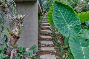 Zahrada ubytování Gek House Ubud Bali