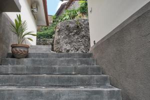 Fotografie z fotogalerie ubytování Gek House Ubud Bali v Ubudu