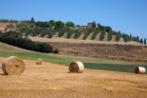 Gallery image of Agriturismo Podere Olivello in Val d'Orcia in Montalcino