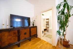 Televízia a/alebo spoločenská miestnosť v ubytovaní Luxurious Kafka family apt in Old Town