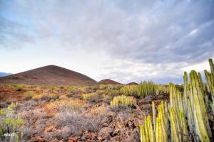 una vista de un desierto con una montaña en el fondo en Naturaleza Viva en El Socorro